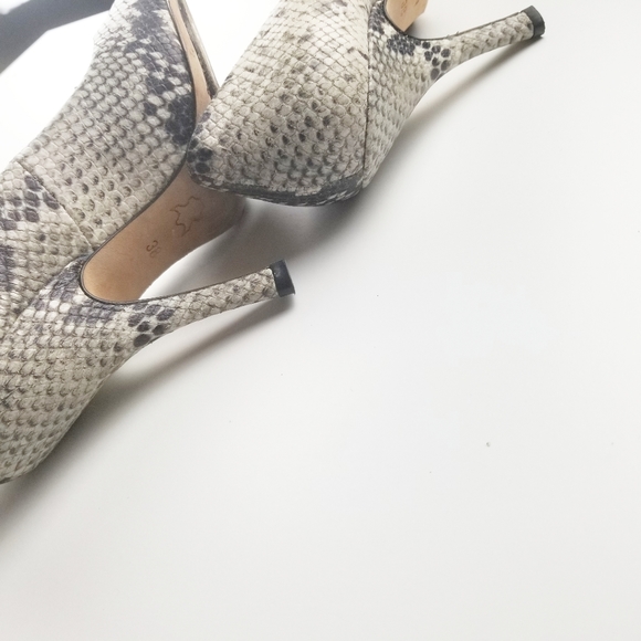 Snake Print Leather Pumps - Picture 4 of 7